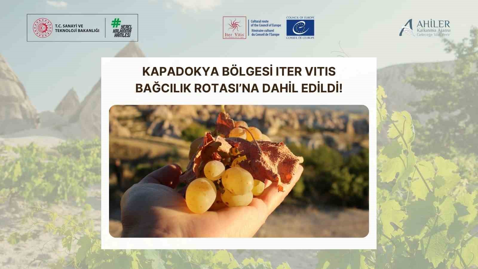 Kapadokya Bölgesi Iter Vitis Bağcılık Rotası’na dâhil edildi