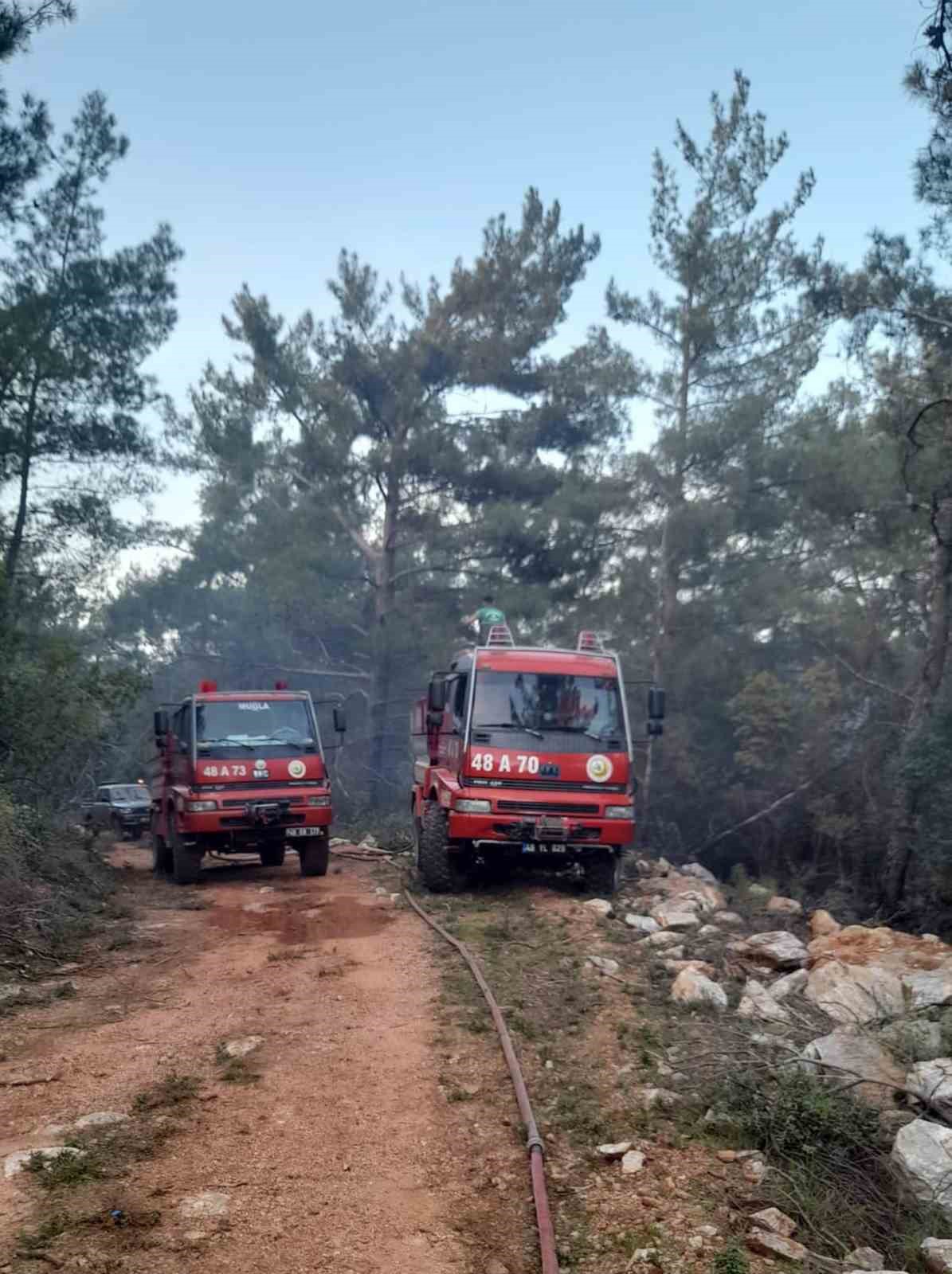 Milas yangını kontrol altına alındı