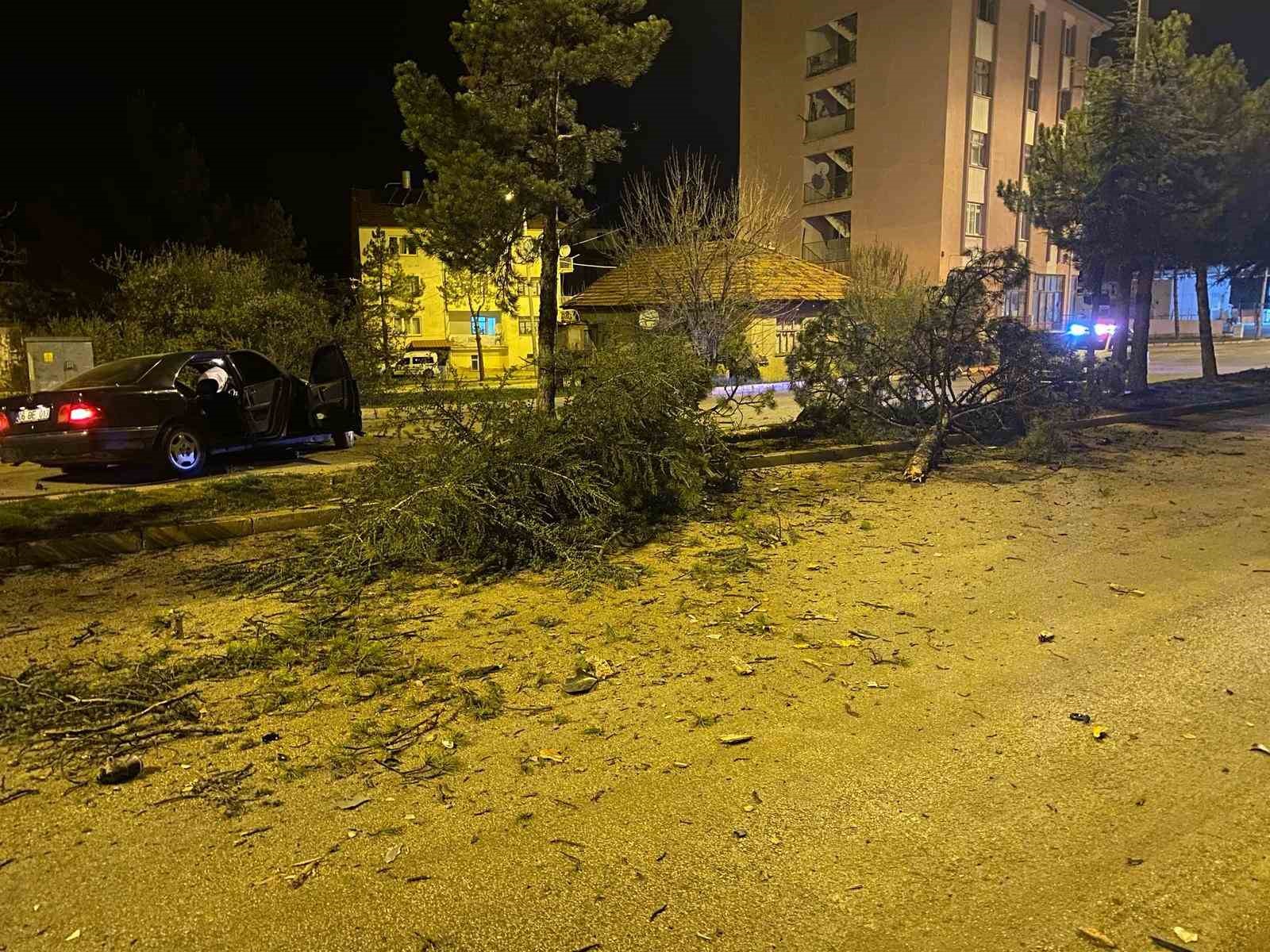 Isparta’da otomobil refüje çarparak 3 ağacı devirdi: 1 yaralı