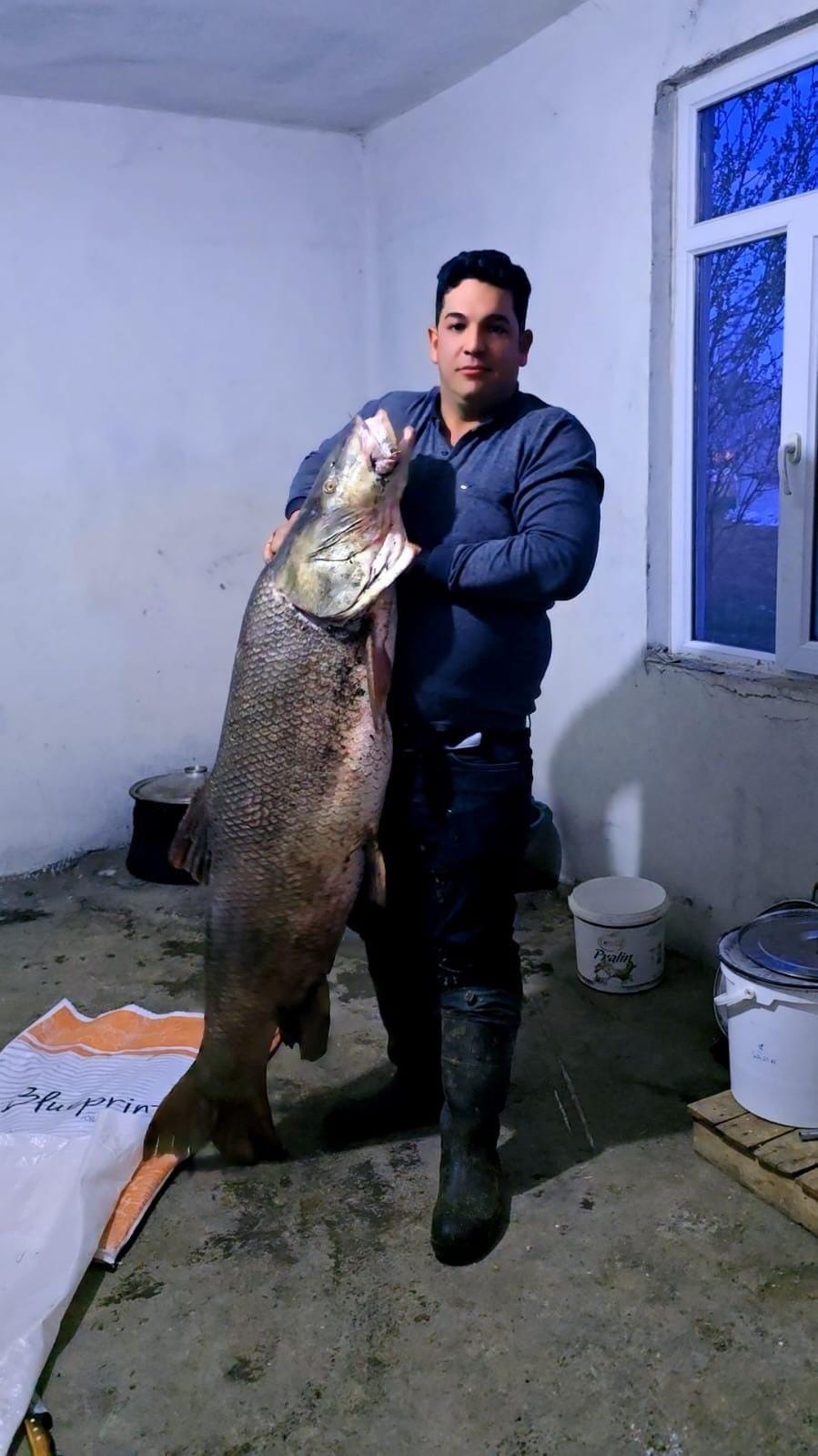 Elazığ’da dev turna balığı yakalandı: Ağırlığı 60 kilogram