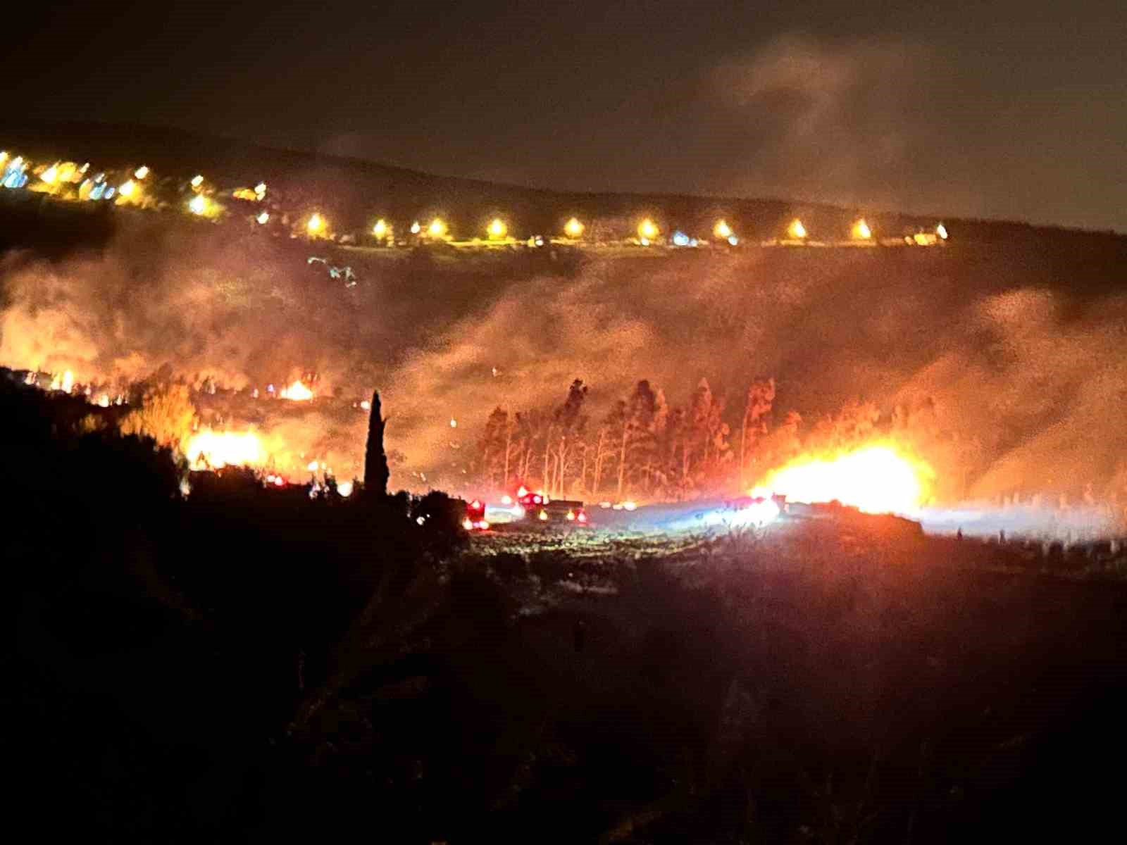 Arsuz’da çıkan orman yangını kontrol altına alındı