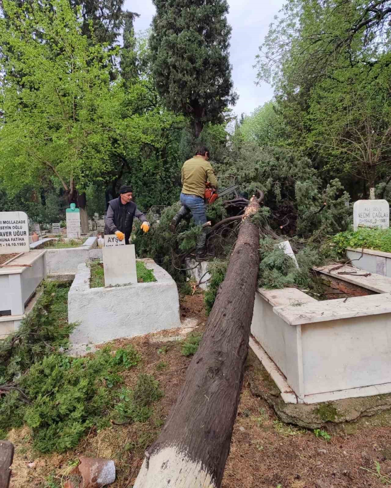 İncirliova’da mezarlıklarda devrilen ağaçlar kaldırılıyor