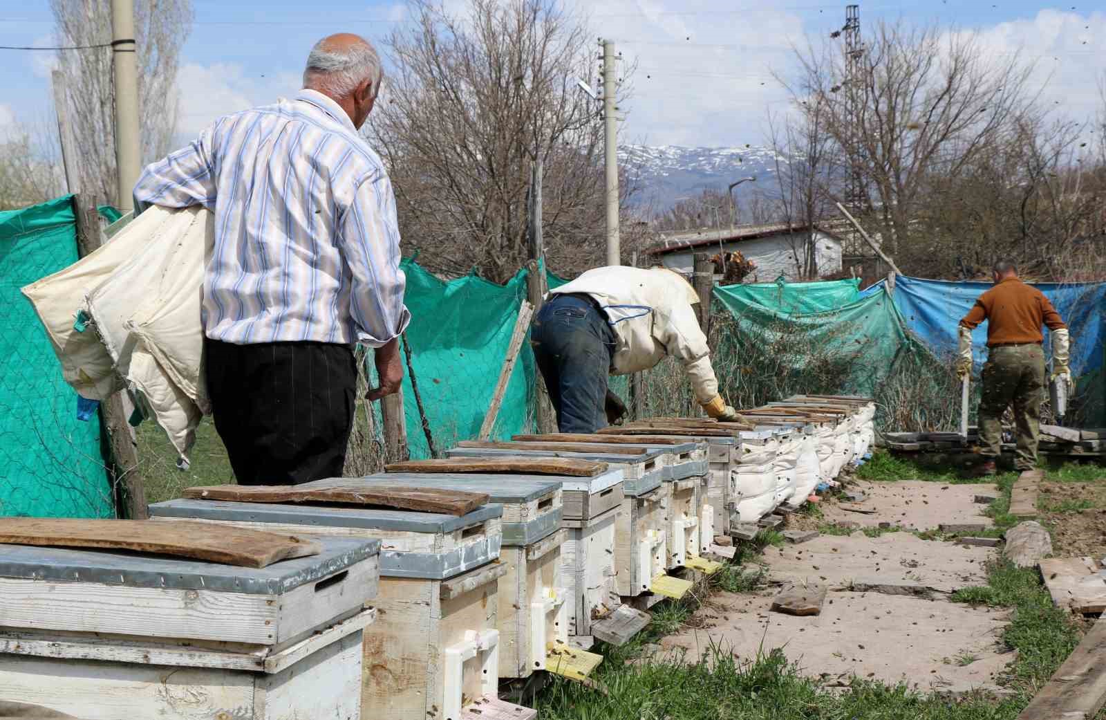 Erzincan’da kıştan çıkan bal arıları açan çiçeklerle buluştu