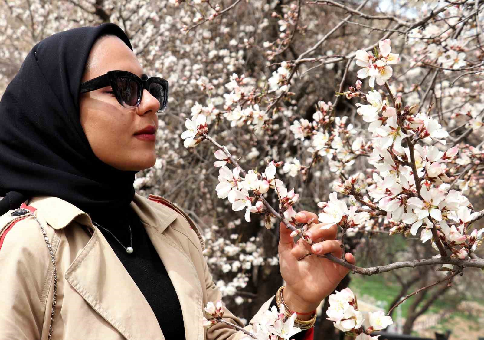 Bahar alerjilerine karşı etkili önlemler