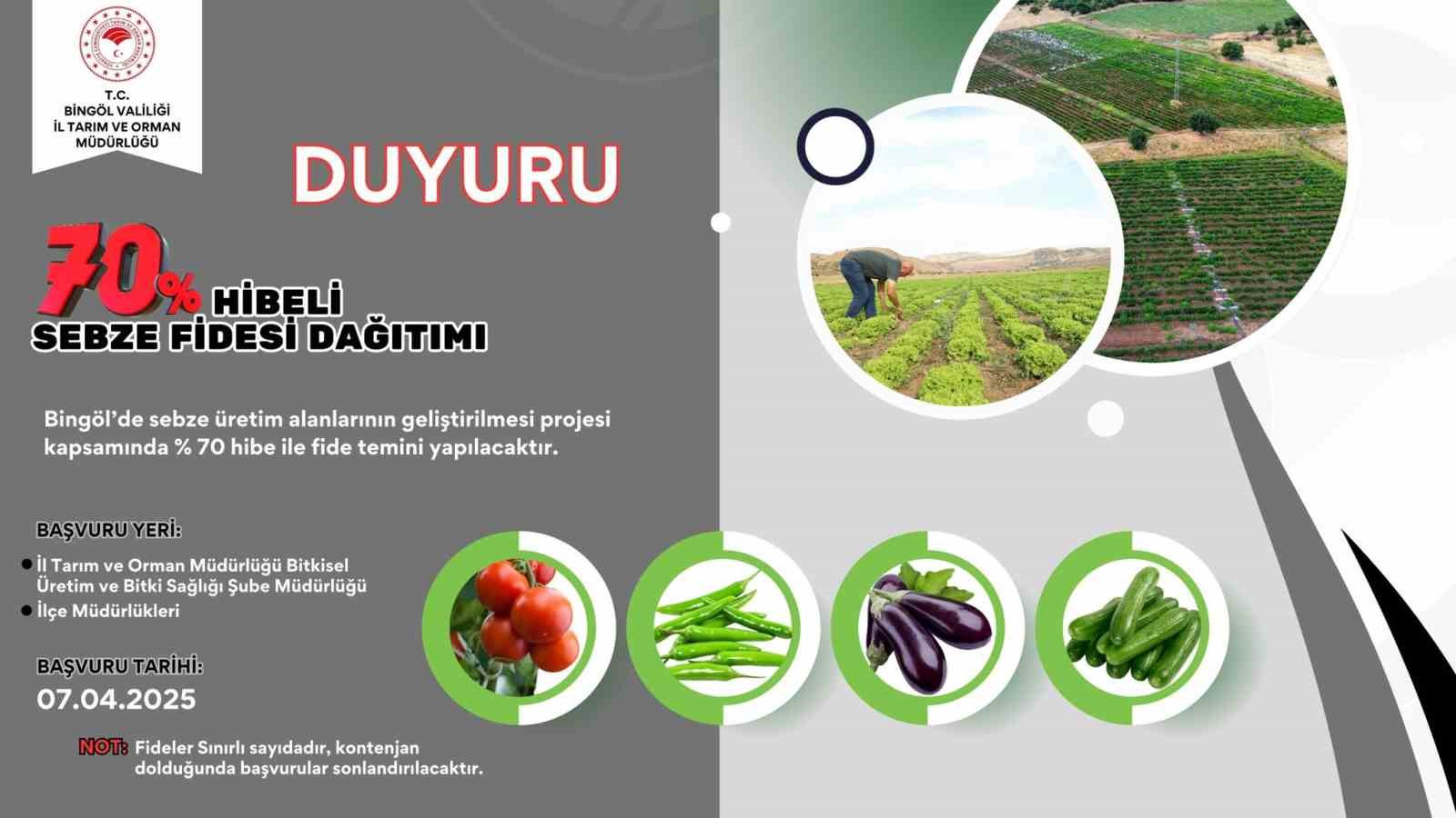 Bingöl’de çiftçilere yüzde 70 hibe destekli sebze fidesi dağıtılacak