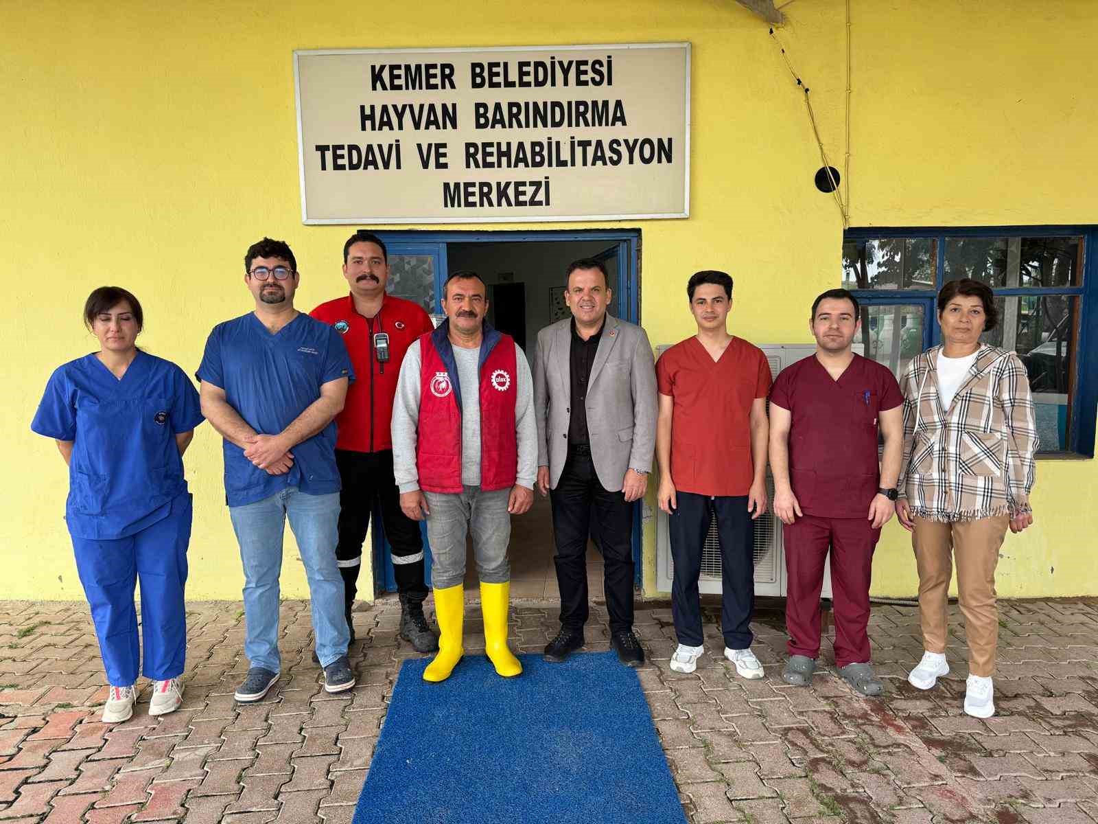 Kemer’de sokak hayvanlarına destek çağrısı