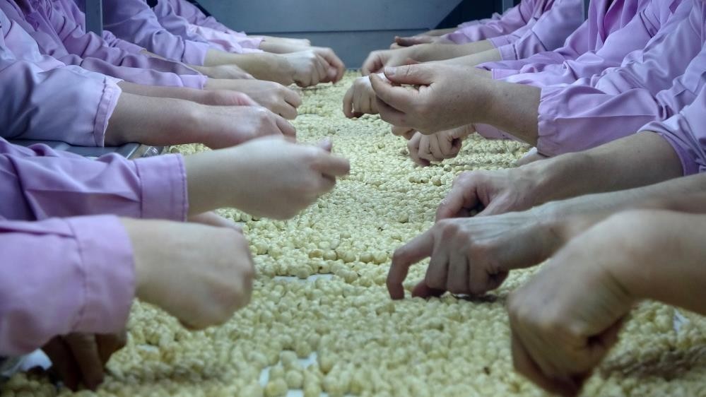 Düzce’de AB ülkelerine 8 bin 374 ton gönderildi