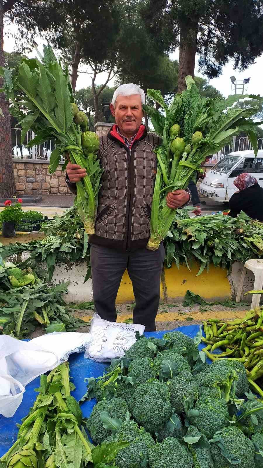 Aydın’da enginar sezonu açıldı, tezgahlar yeşile büründü