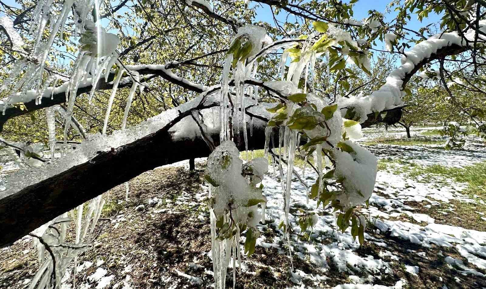 Akçin: 