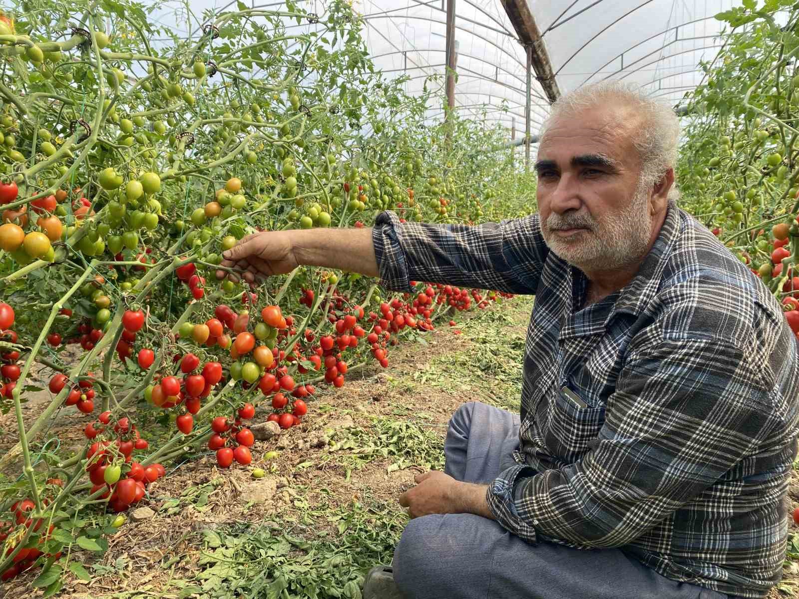 Üreticiden fiyat farkına tepki: 