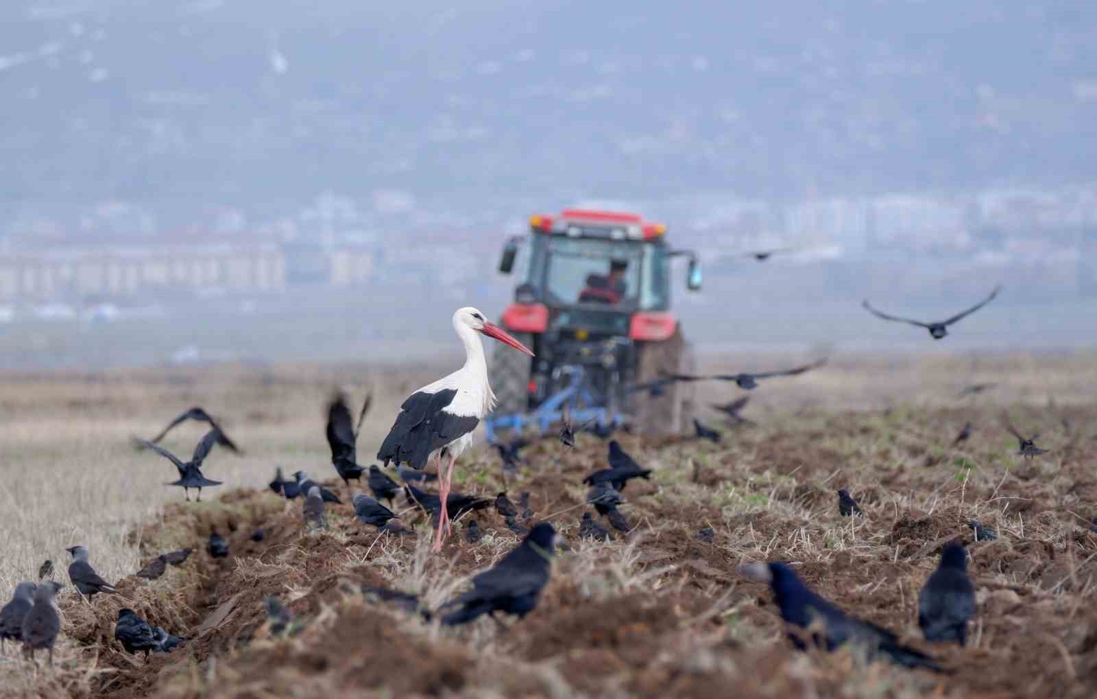 Çiftçilere zirai don uyarısı