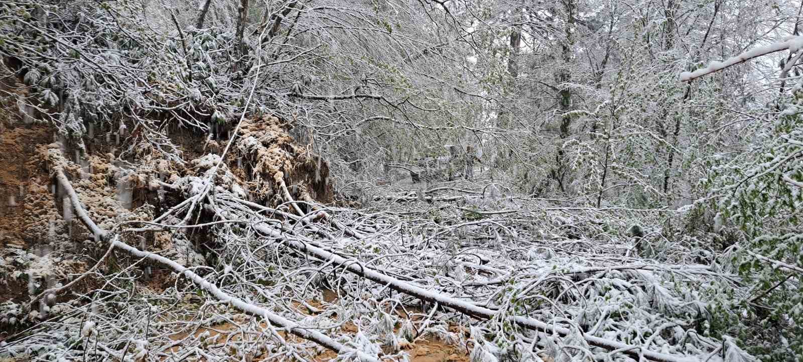Heyelandan kapanan yol yeniden ulaşıma açıldı