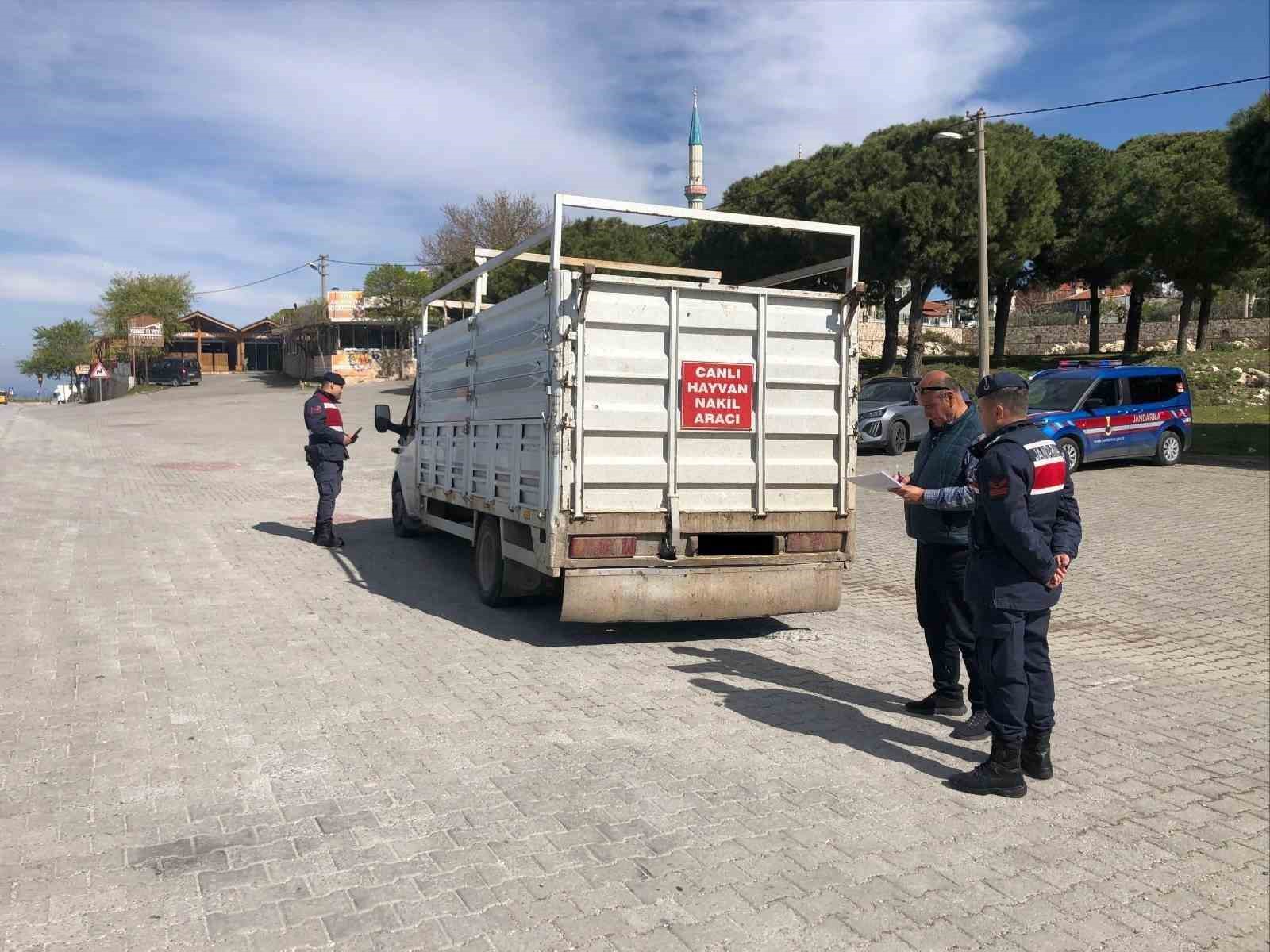 Canlı hayvan taşıyan araçlar denetlendi