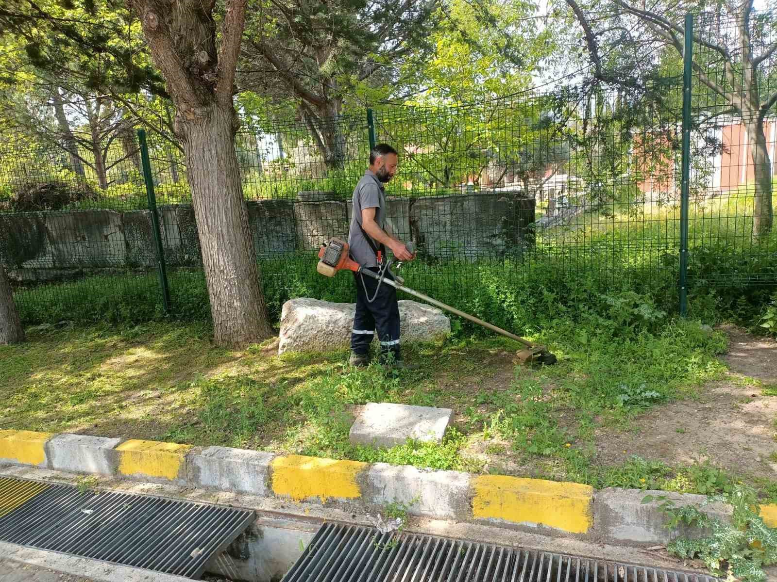 Afrodisias Antik Kenti’nde ilaçlama çalışması başlatıldı