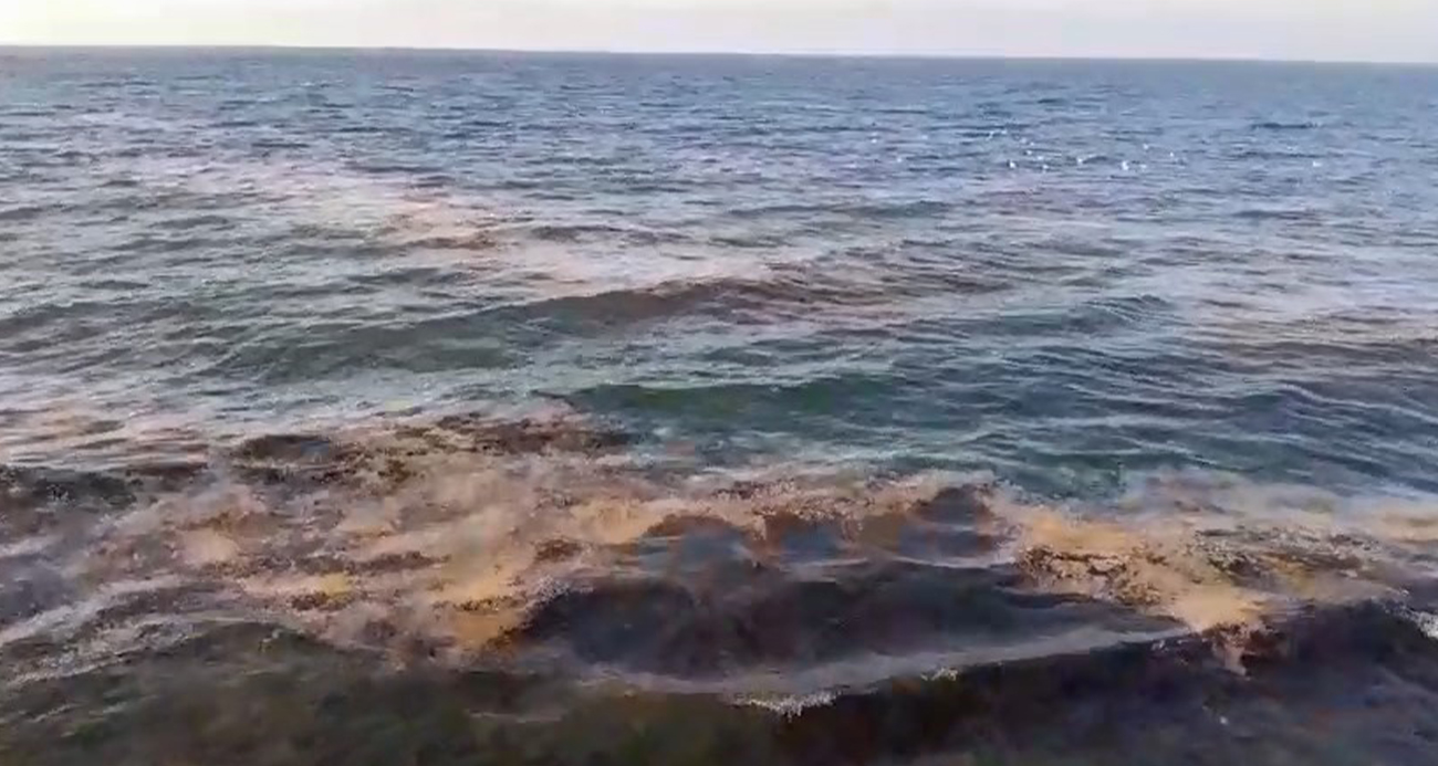Mudanya sahilinde görülen müsilaj tedirgin etti