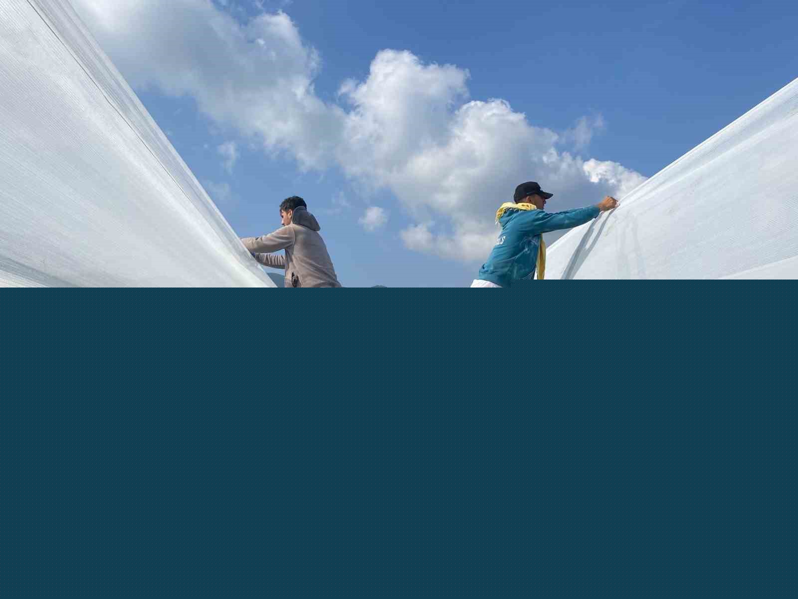 Sarıgöl’deki üzüm bağlarında önlemler giderek artıyor