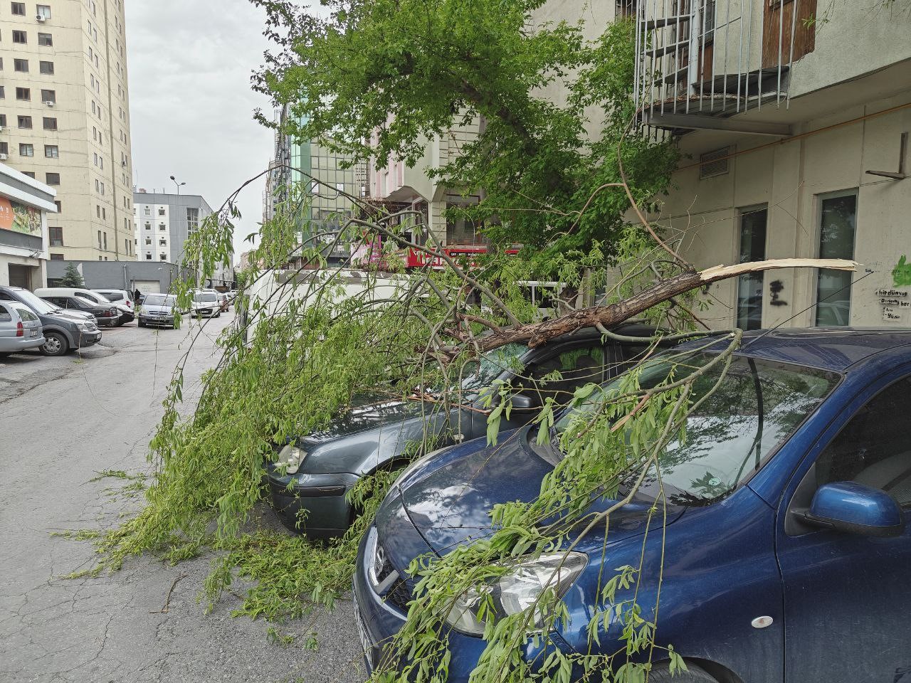 Rüzgarda kırılan ağaç dalı otomobillerin üzerine düştü