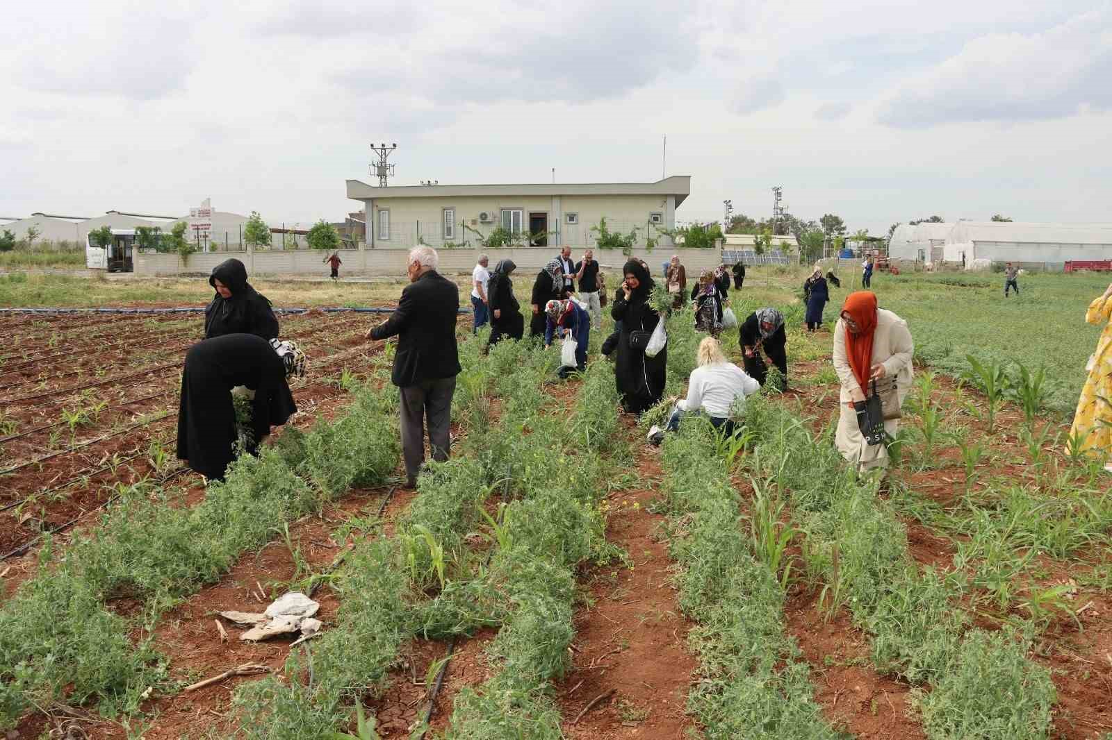 Şanlıurfa’da emekli kadınlara 