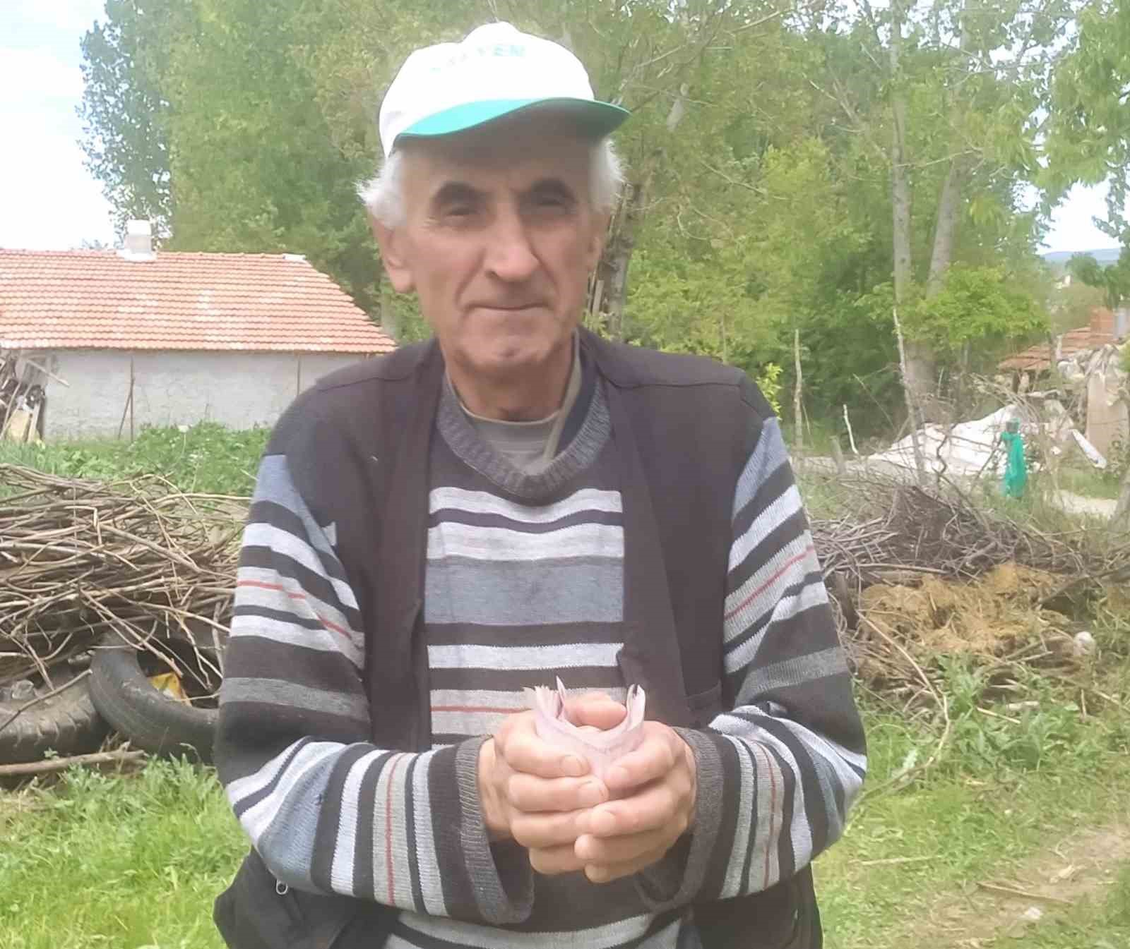 Hisarcık’ta emekli işçiden 