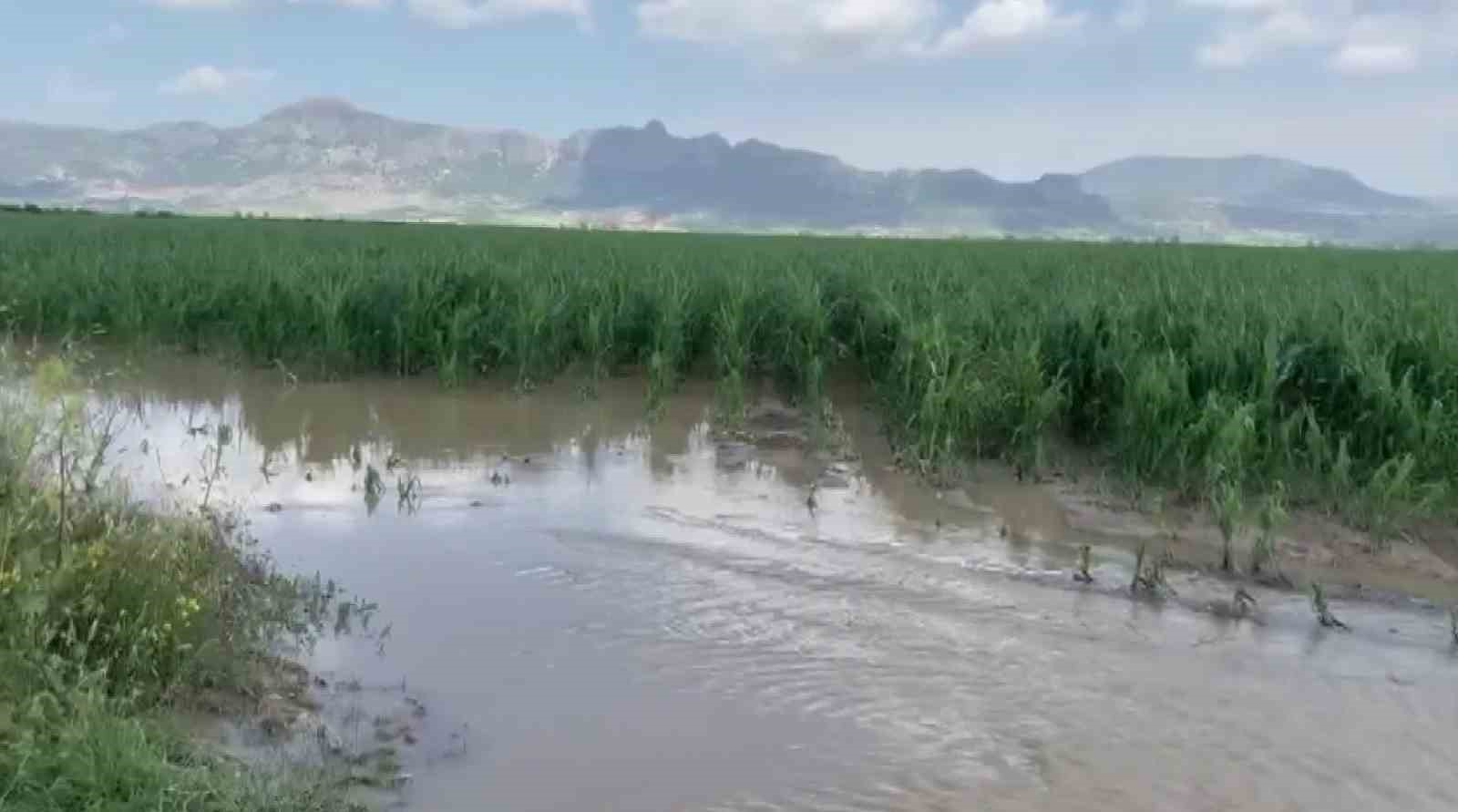 Adana’da şiddetli yağmur ve dolu, tarım ürünlerine zarar verdi