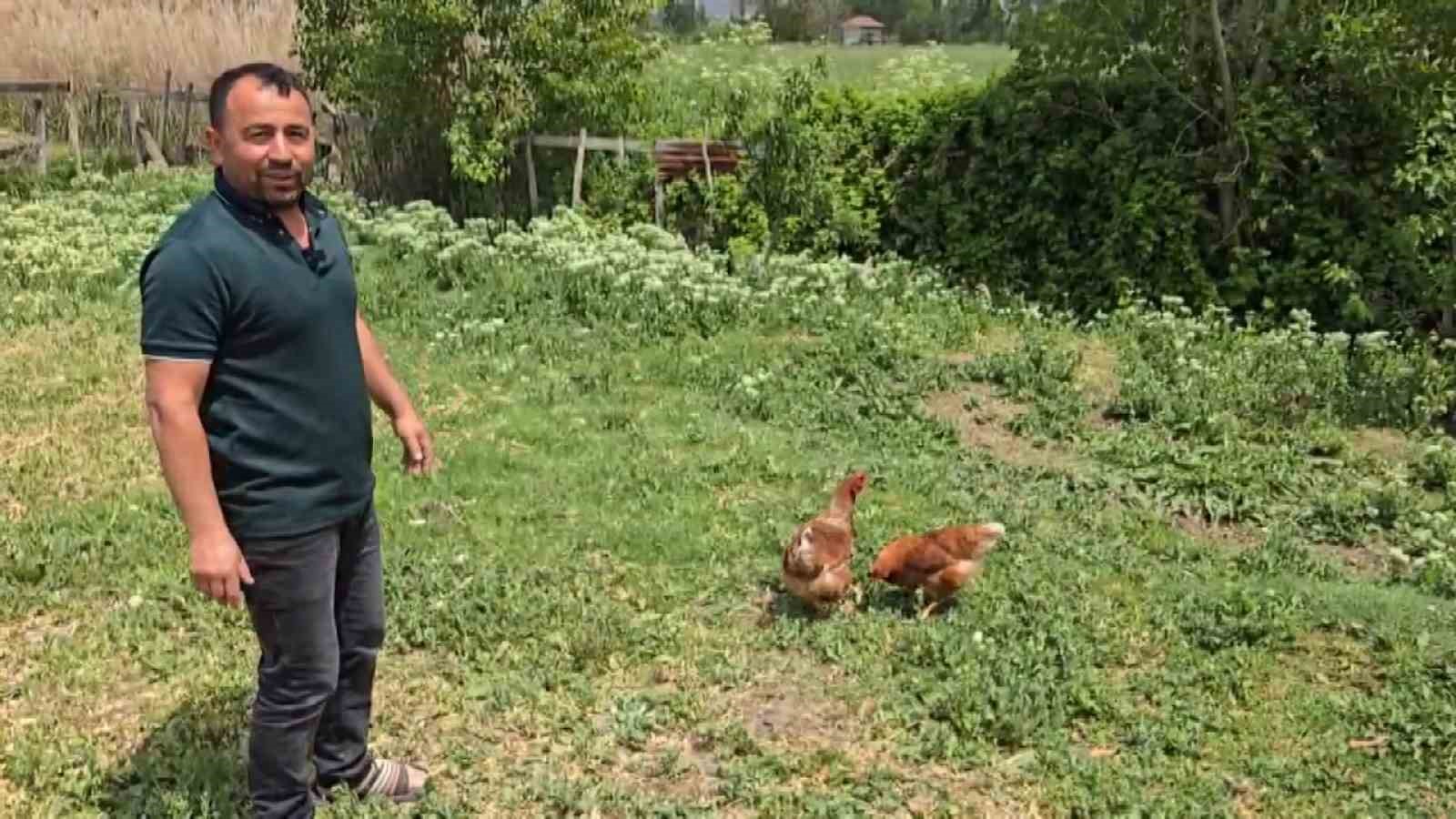 Bahçesine giren tilkiye böyle seslendi: 