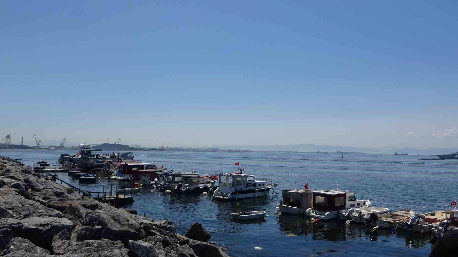 Pendik’te balıkçılara sürpriz: Oltaya köpek balığı takıldı