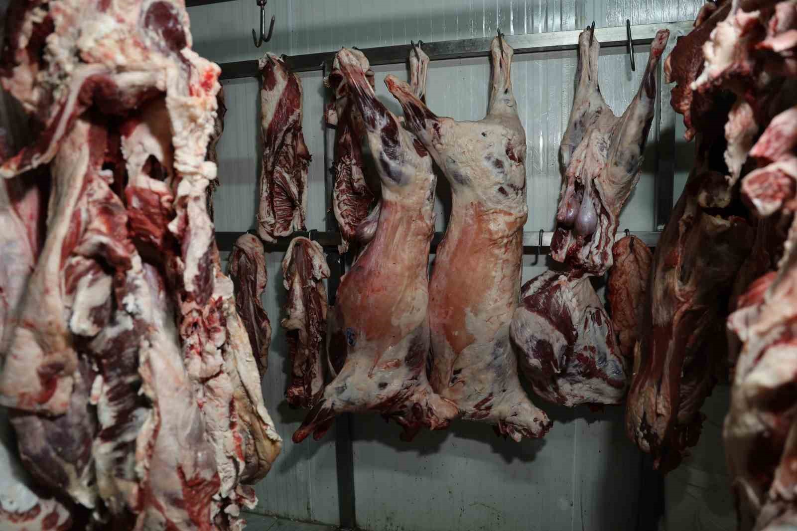 At ve eşek eti haberleri Adanalıları rahatsız etti