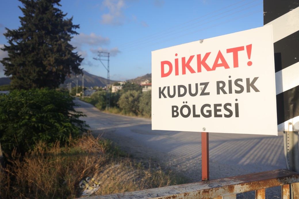 Kuduz karantinasının olduğu 4 mahallede sokak köpekleri vatandaşları tedirgin ediyor