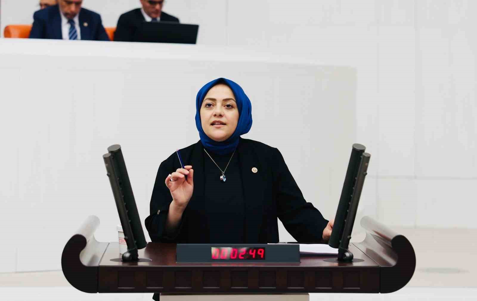 Milletvekili Ün, 