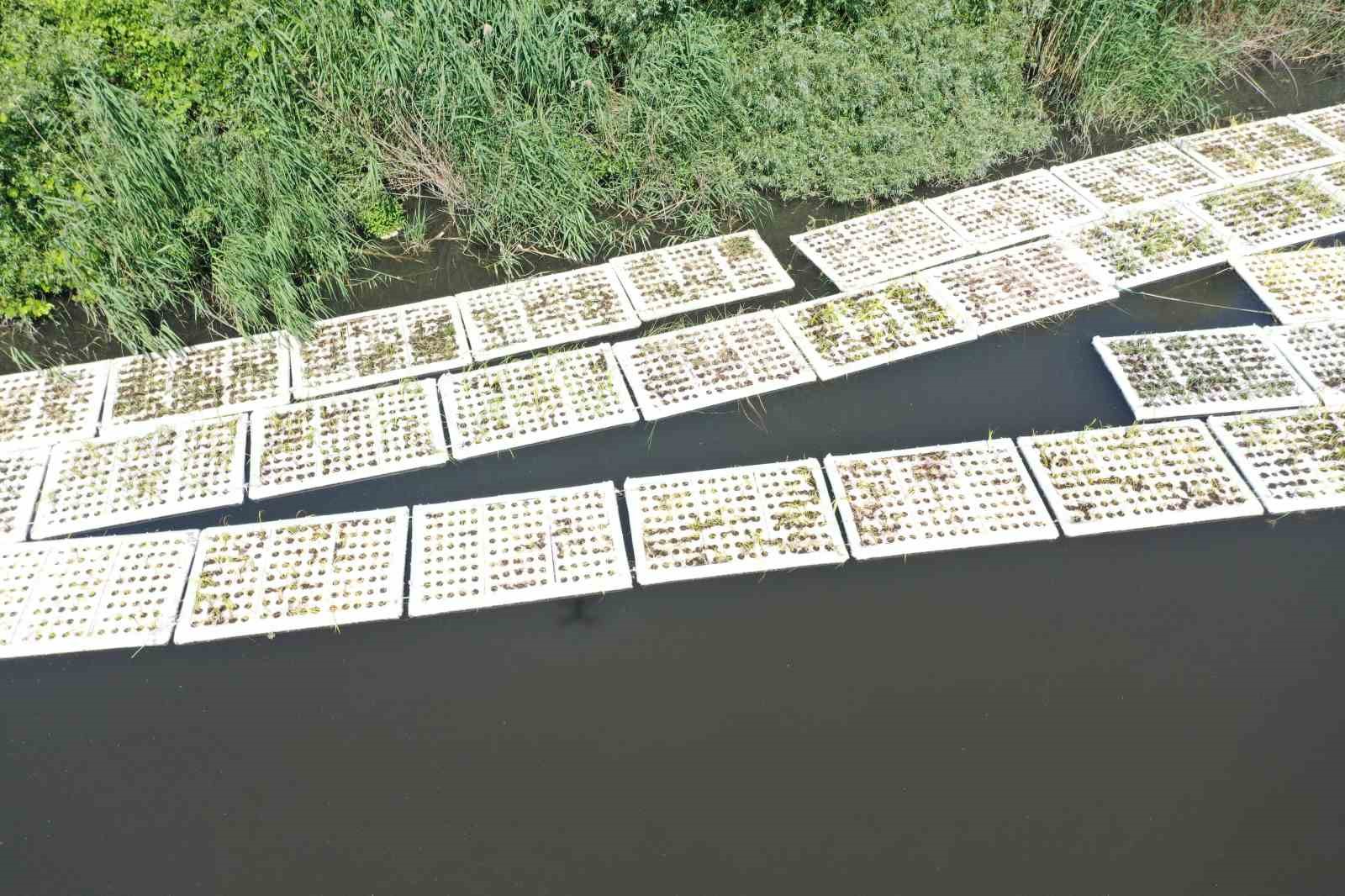 Marmara Denizi’ni besleyen derelerde 