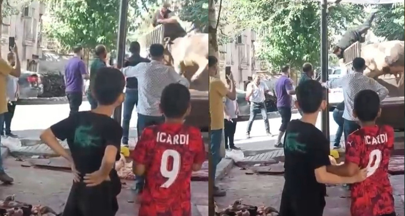 Kızgın boğa kasaba hayatının kabusunu yaşattı