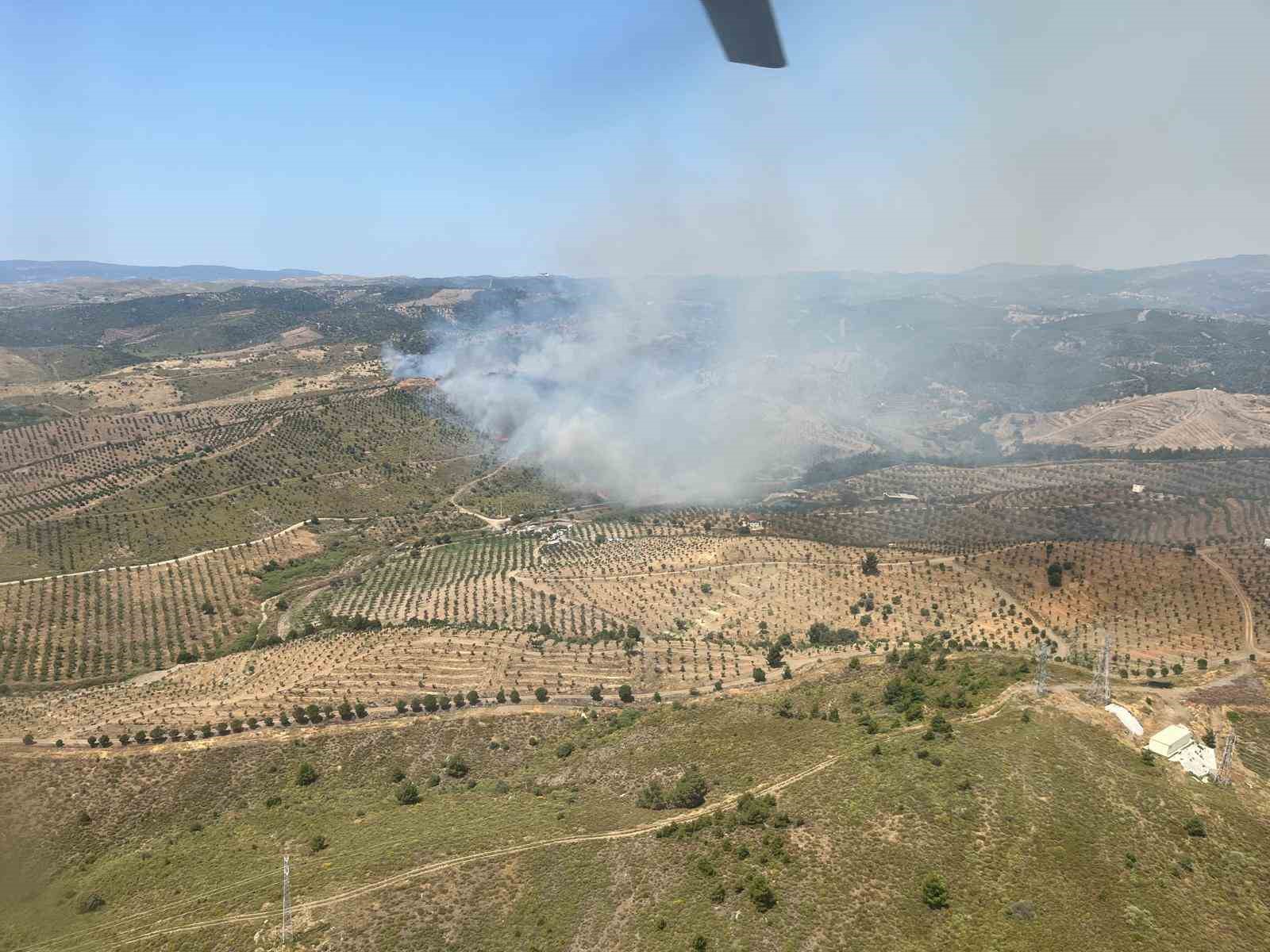 İzmir’de ormanlık alanda yangına havadan ve karadan müdahale başladı