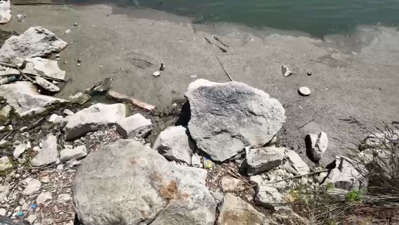 Bakırköy Botanik Parkı 14 aydır kapalı: 