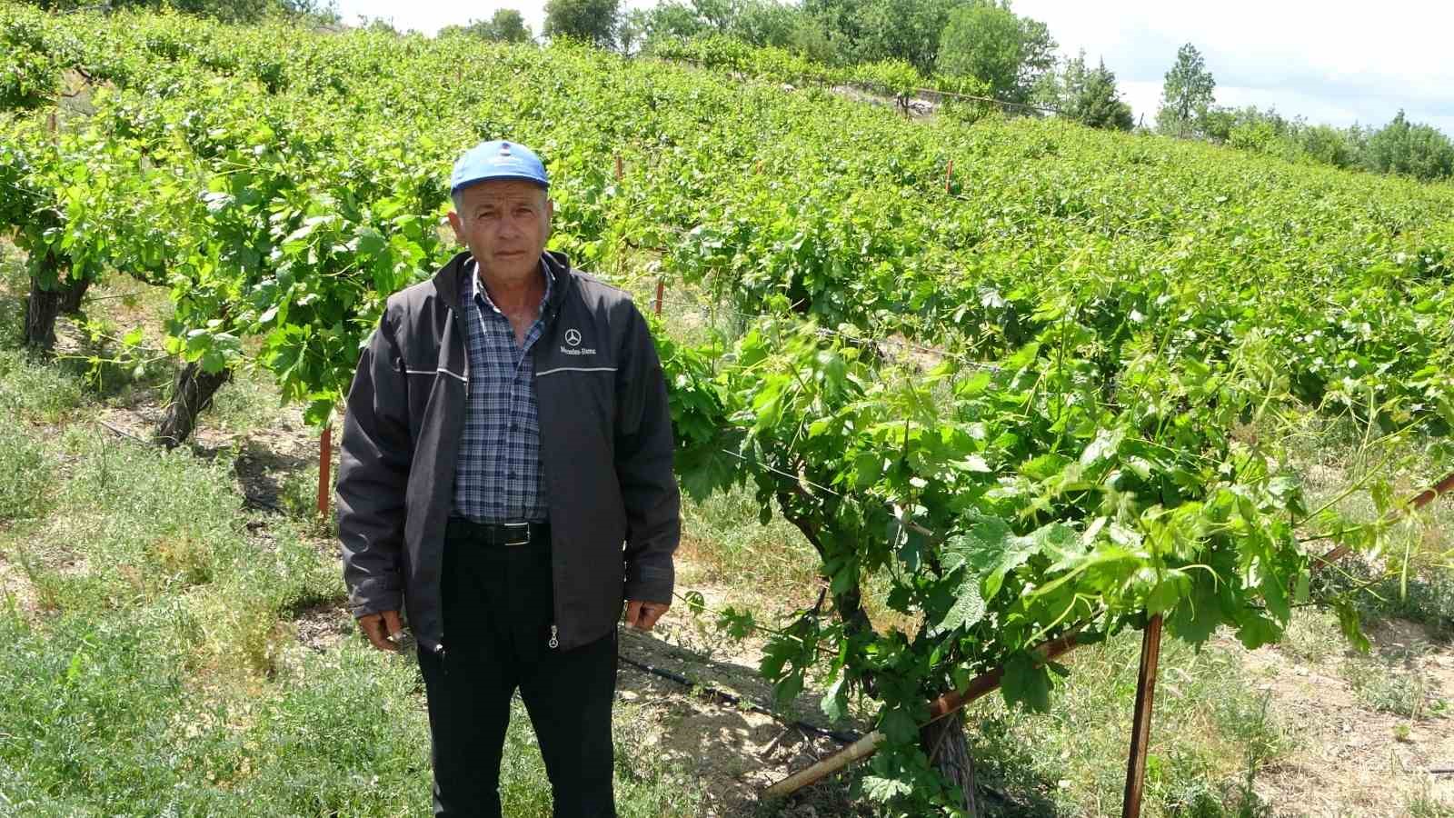Zirai donun vurduğu tescilli 