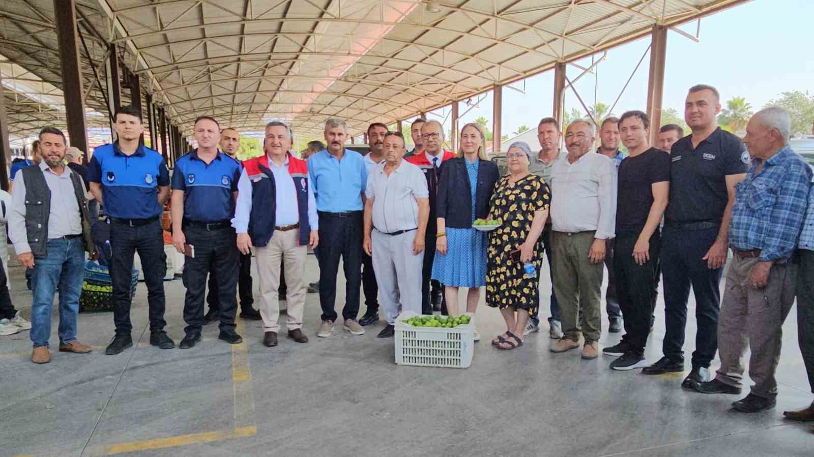 Nazilli’de kaliteli incir için kaliteli ilek denetimleri sürüyor
