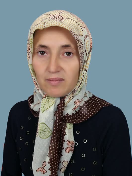 Üzüm yaprağı toplarken düşen kadın hayatını kaybetti
