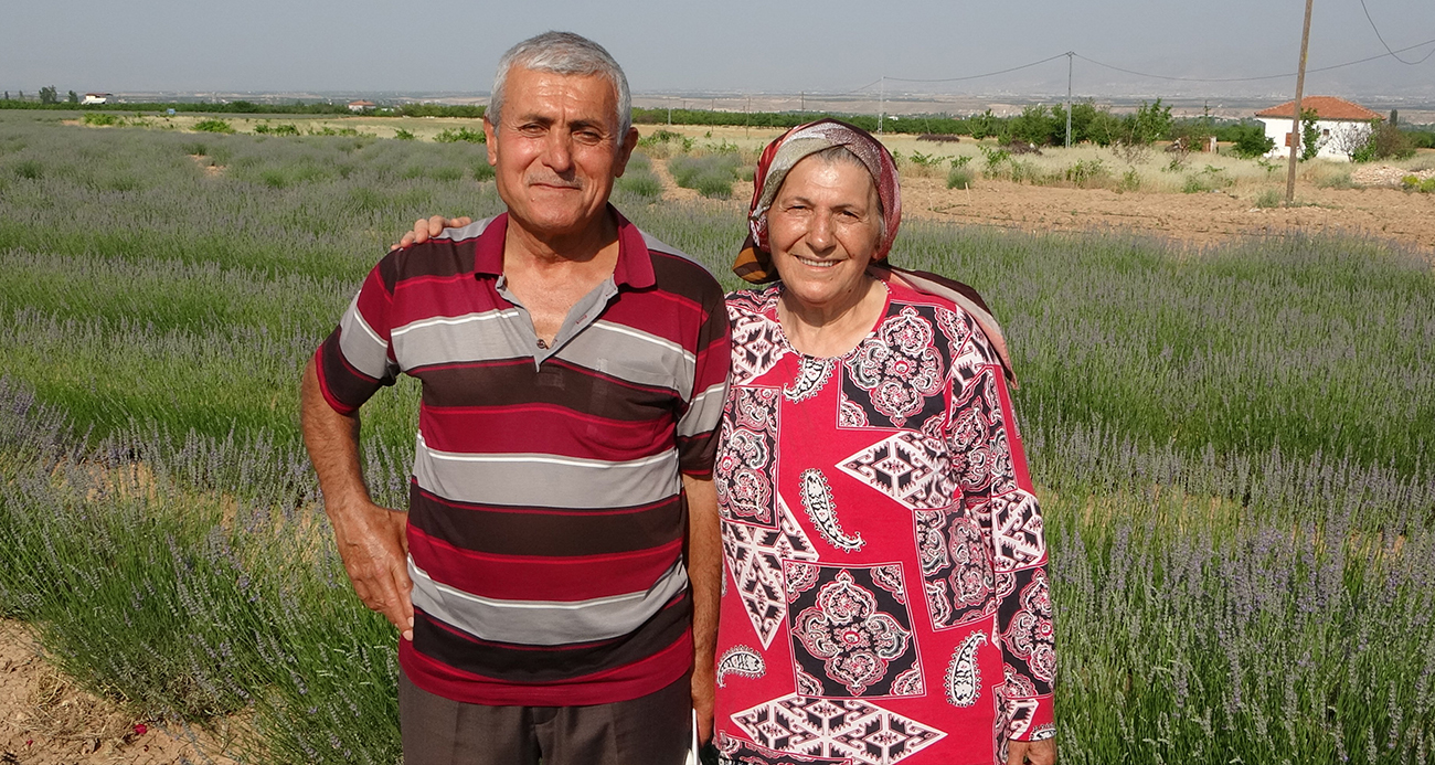 İnternetten gördüler, lavanta üreticisi oldular