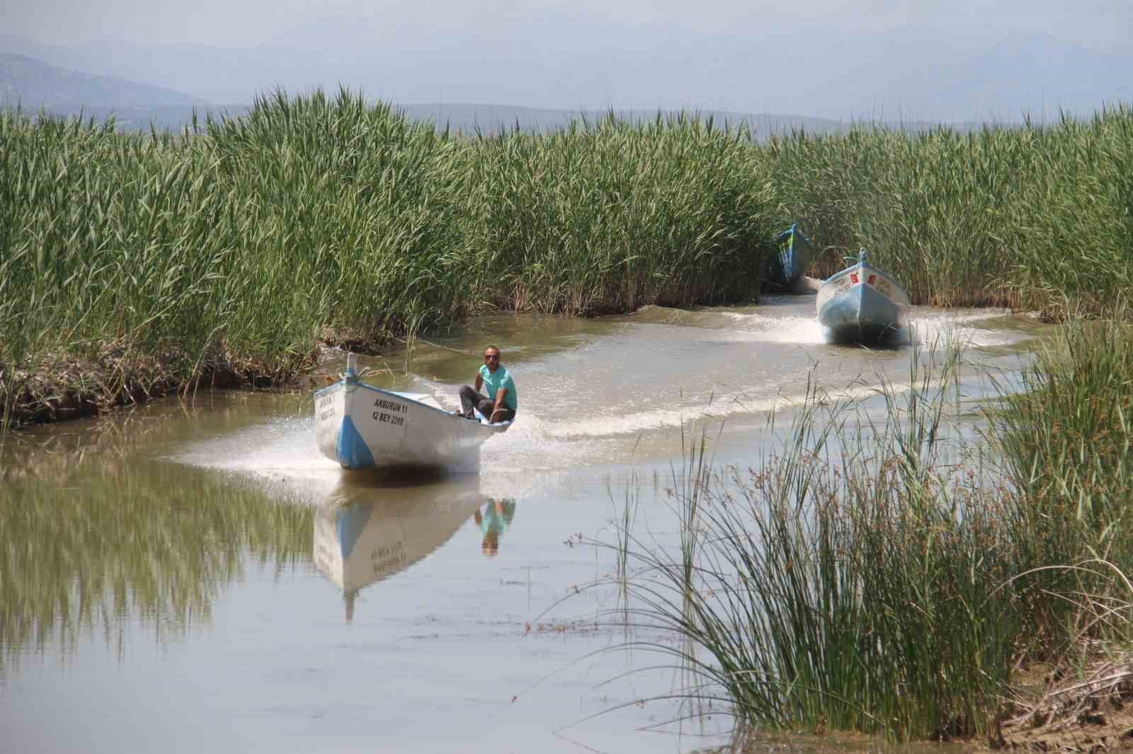 Balıkçılar 
