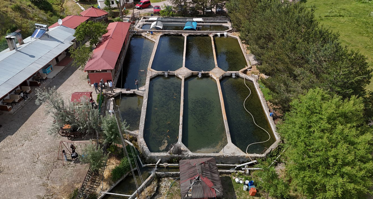 Denize kıyısı olmayan Sivas’ta üretilen balıklar dünyaya pazarlanıyor