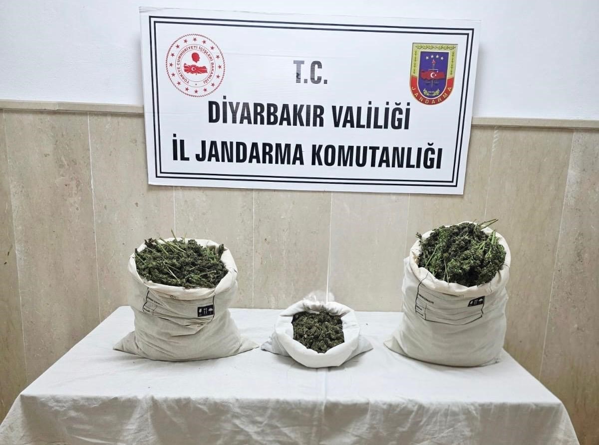 Diyarbakır’da 22 bin kök kenevir bitkisi ile 12 kilo esrar ele geçirildi