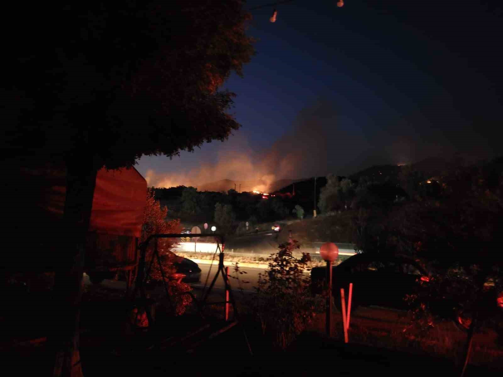 Aydın'da orman yangını gece boyu süren çalışmalarla söndürüldü