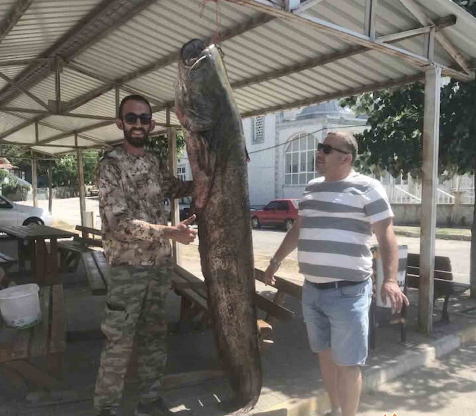 İpsala’da ağlara 80 kilo ağırlığında yayın balığı takıldı