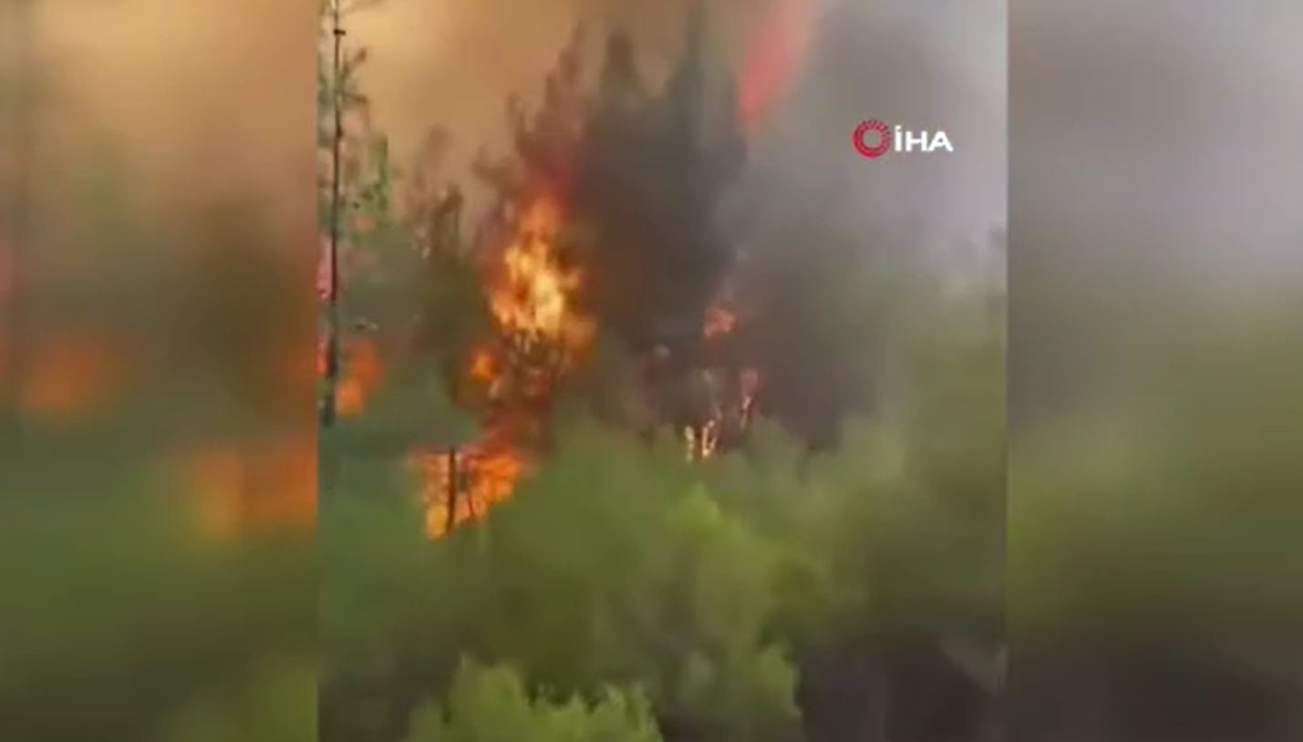 Orman yangınında itfaiyecilerin ölüm kalım savaşı: 