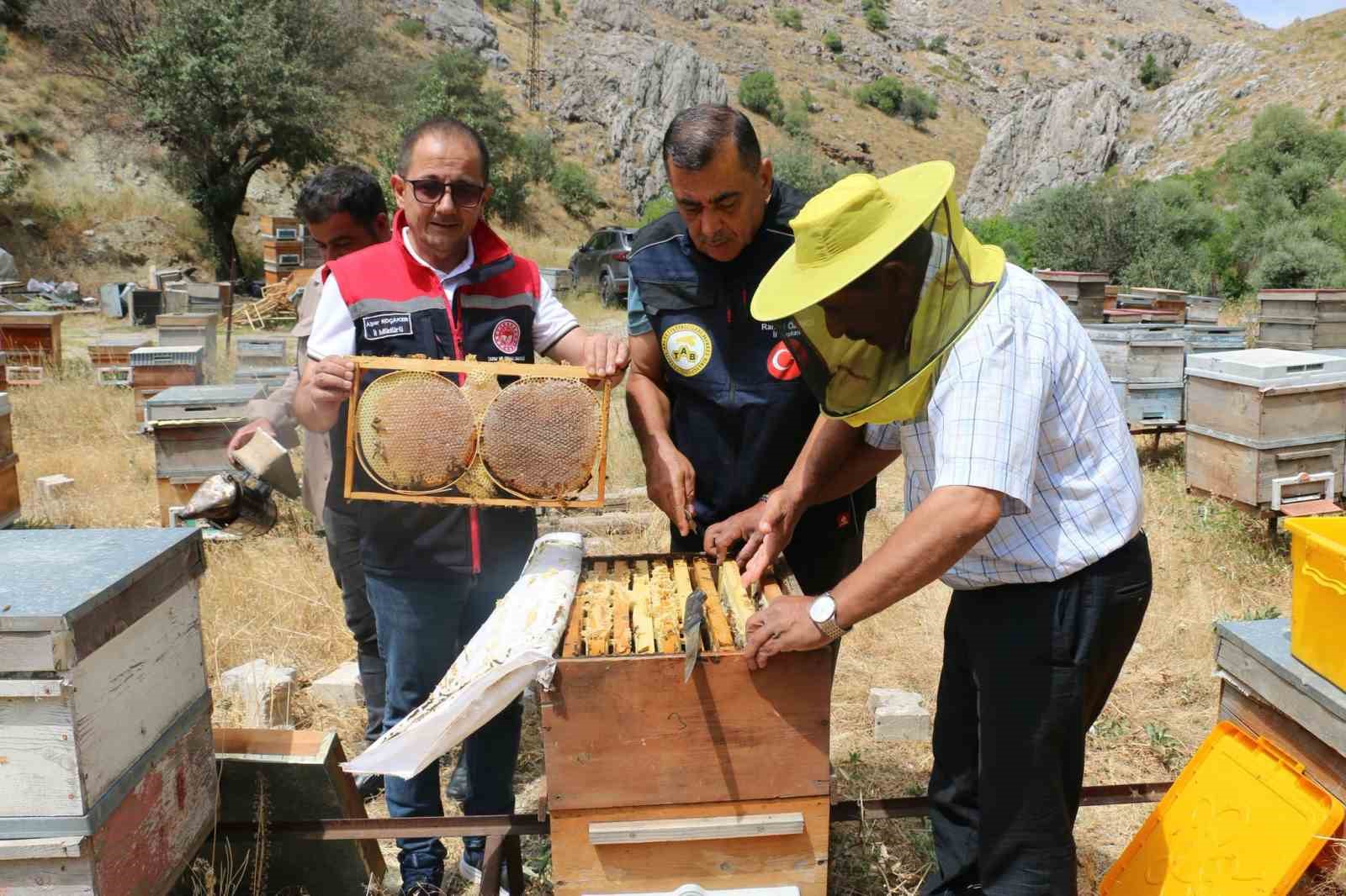 erzincan-da-bal-hasadi-basladi-bin-500-ton-rekolte-bekleniyor