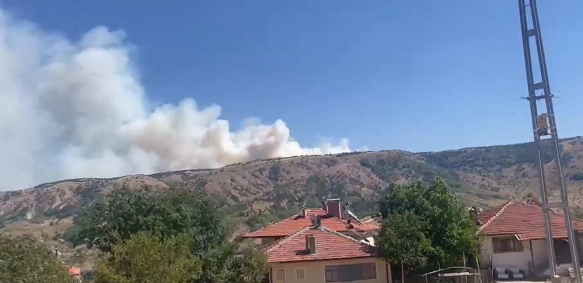 ankara-cankiri-sinirinda-orman-yangini