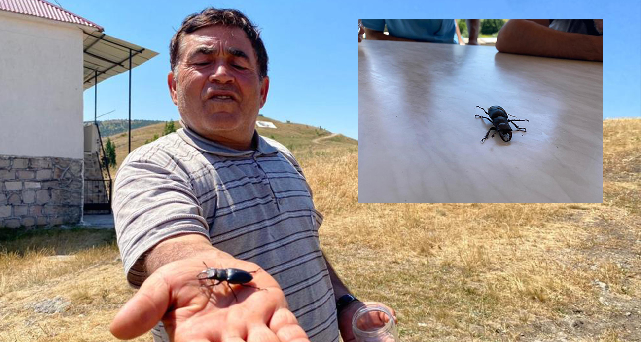 Öldürmenin cezası 557 bin TL, Sivas’ta görüldü