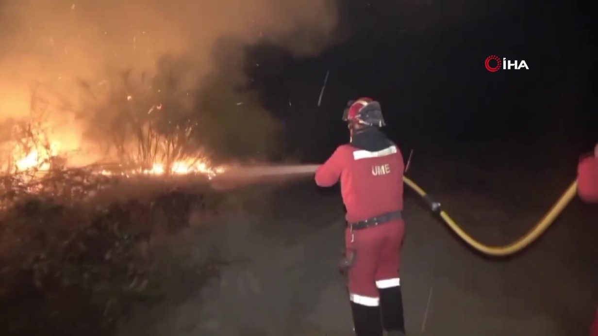 İspanya’da orman yangını: 3 bin hektarlık alan yandı