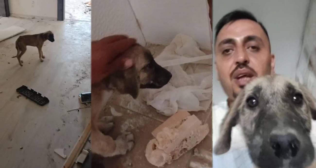Canını hiçe sayıp ağır hasarlı binaya giren vatandaşın, yıkım öncesi yavru köpeği kurtardığı anlar kamerada