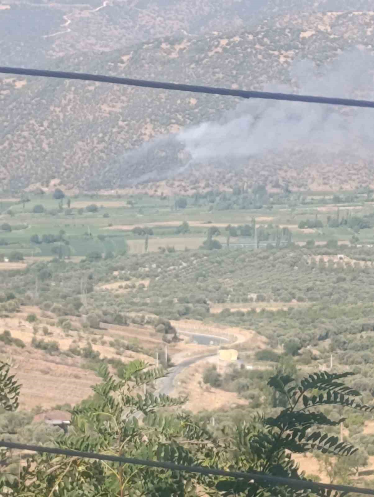 Nazilli’de makilik ve zirai alan yangını