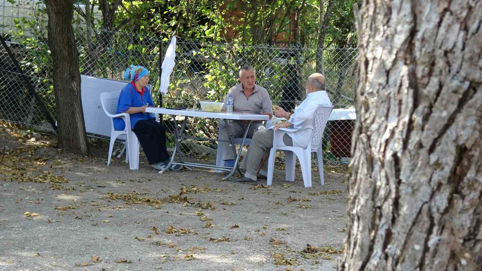 Orman yangınında 60 yıl sonra aynı acıyı yaşadı